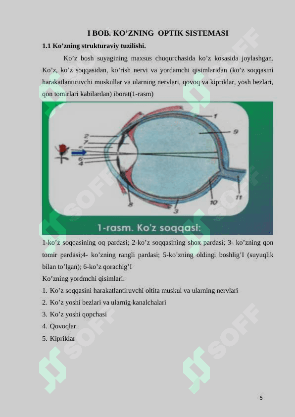Ko’z optik sistema sifatida 5