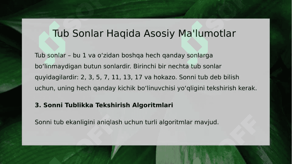 Sonlarni Tublikka Tekshirish Algoritmlari va Ularning Dasturiy Ta'minotini Ishlab Chiqish 3