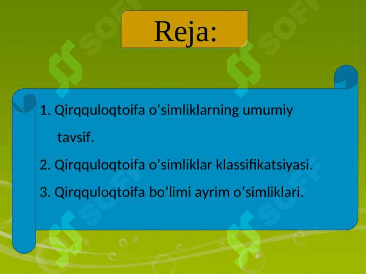 QIRQULOQTOIFA (POLYPODIOPHYTA)O’SIMLIKLAR 2