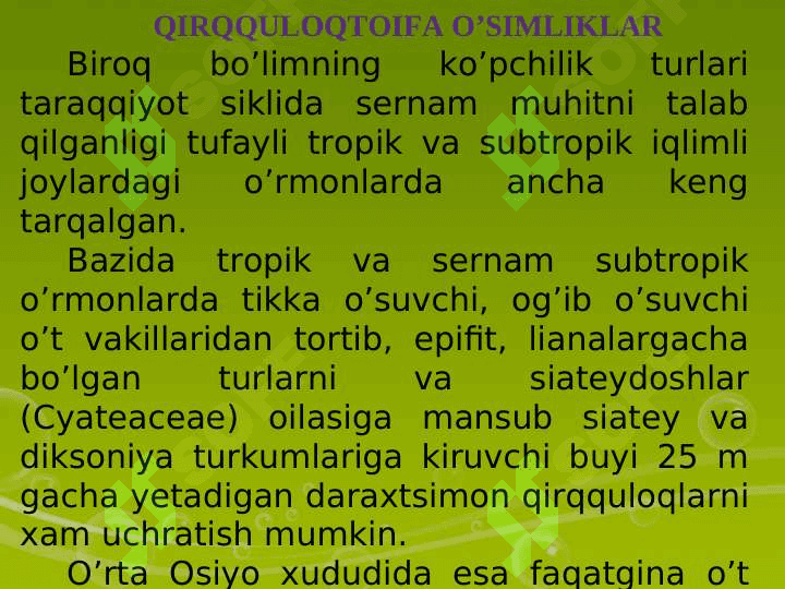 QIRQULOQTOIFA (POLYPODIOPHYTA)O’SIMLIKLAR 4