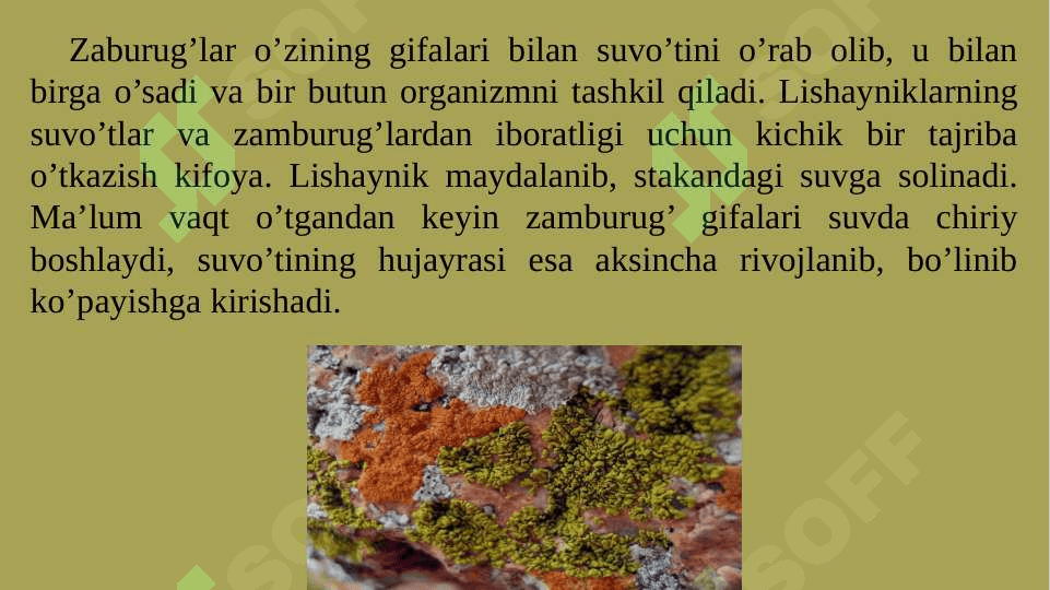 LISHAYNIKLAR BO’LIMI 4