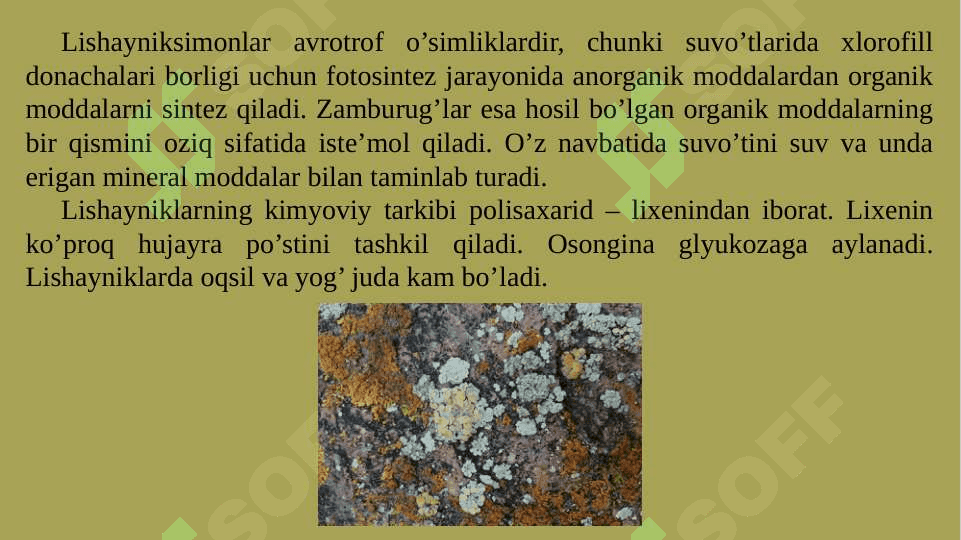 LISHAYNIKLAR BO’LIMI 5