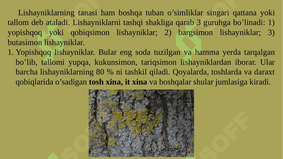 LISHAYNIKLAR BO’LIMI 6