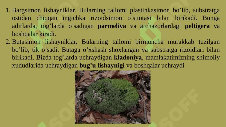 LISHAYNIKLAR BO’LIMI 7