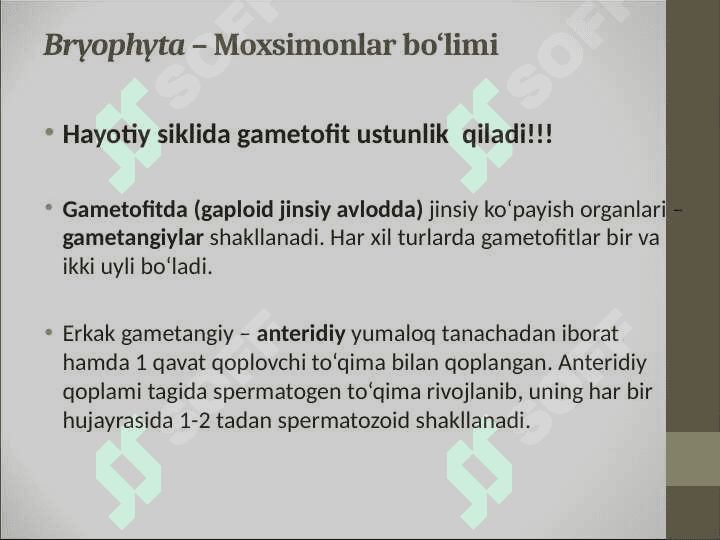 Bryophyta – Moxsimonlar bo‘limi 3