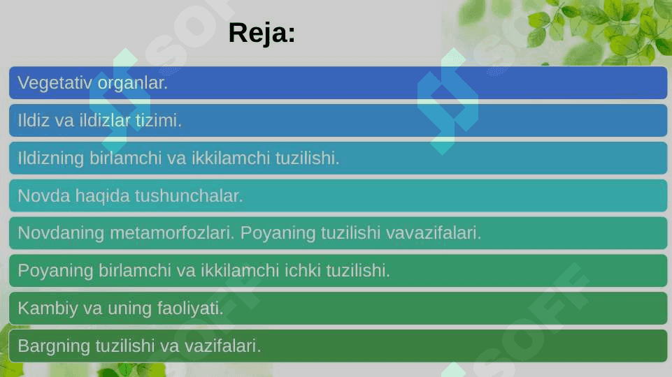 Vegetativ organlar 2