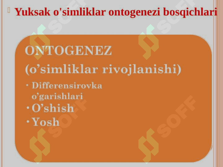 O’SIMLIKLARNING O’SISH VA RIVOJLANISH FIZIOLOGIYASI 4