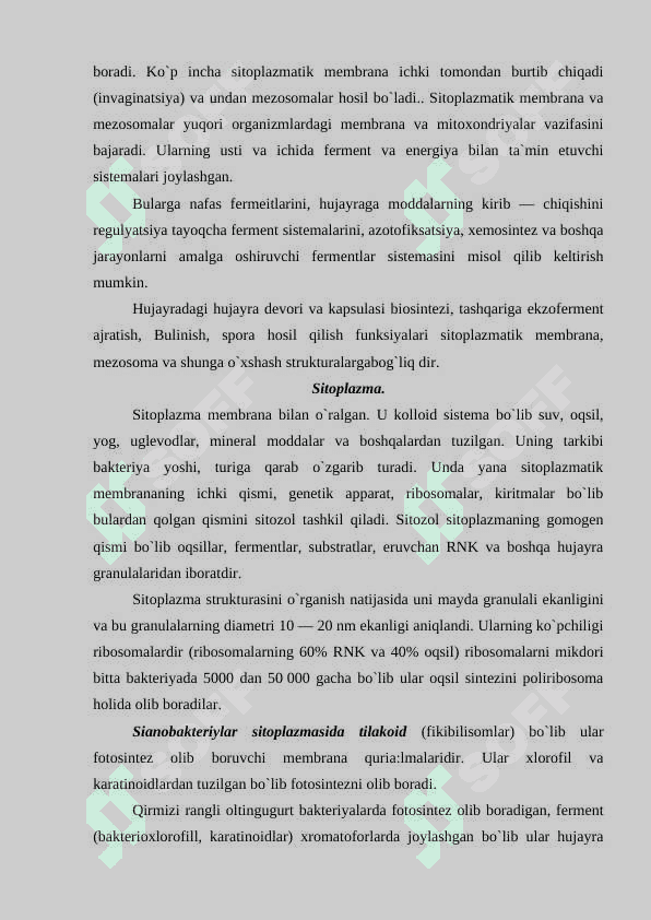 Eukariot va prokariot organizmlar 8