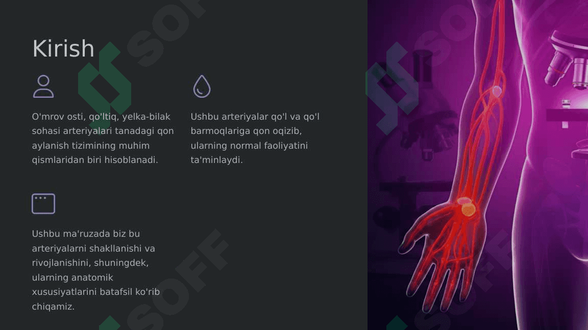 O'mrov osti, qo'ltiq, yelka-bilak sohasi arteriyalari taraqqiyoti 3