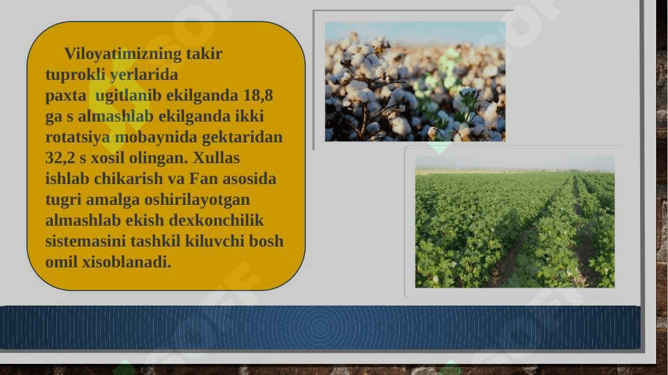 Bug’doy – G’o’za almashlab ekish tizimi 4