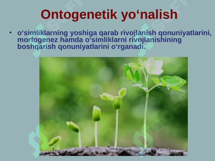 O‘simliklar fiziologiyasi faniga kirish 8