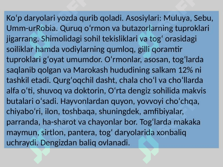Marokash 4