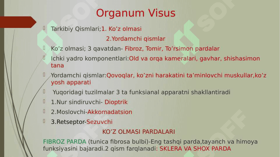 Sezgi a’zolari. Ko’rish a’zosi 2