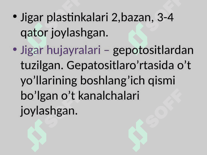 Jigar gistalogiyasi 4