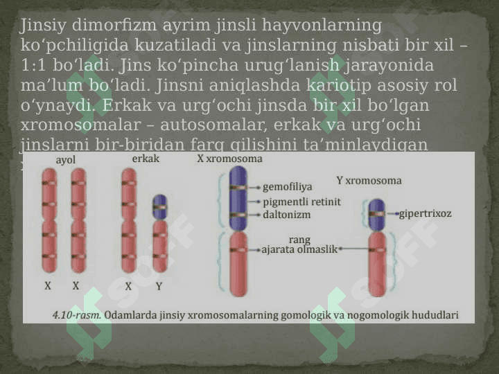 Jins genetikasi 3