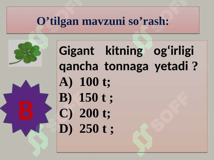 Hayvon organizmining tuzilishi, hayvonlarni klassifikatsiya  qilish. 4