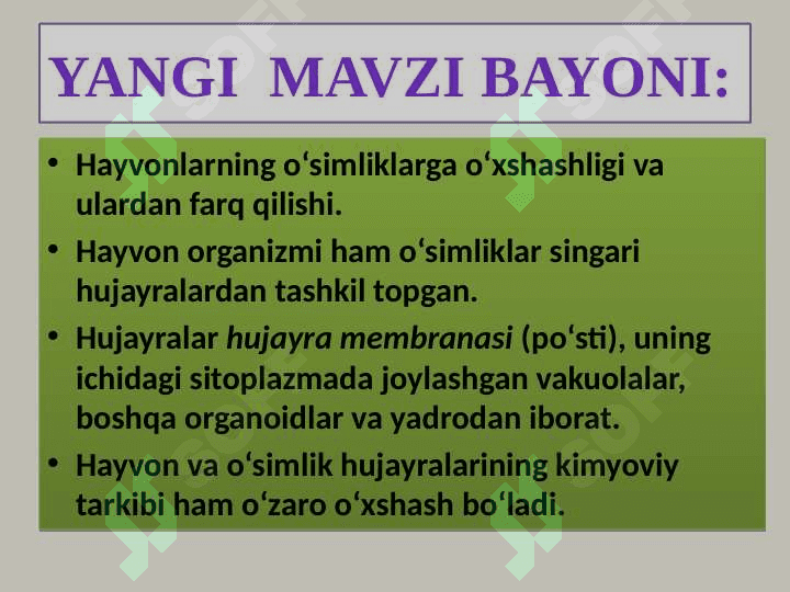 Hayvon organizmining tuzilishi, hayvonlarni klassifikatsiya  qilish. 5