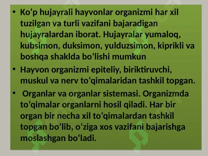 Hayvon organizmining tuzilishi, hayvonlarni klassifikatsiya  qilish. 7