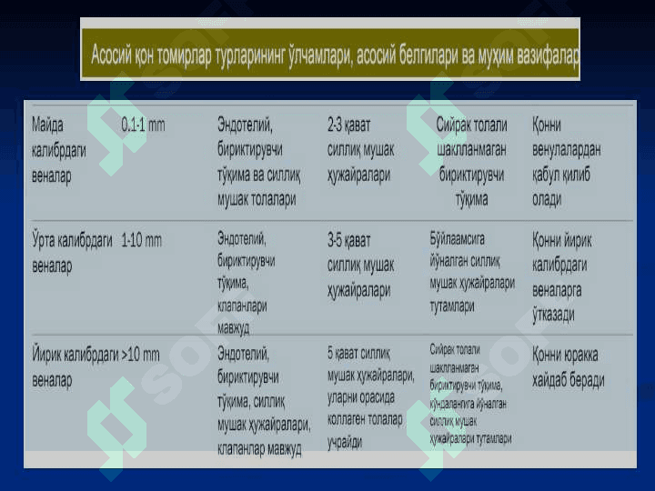 ЮРАК ҚОН-ТОМИРЛАР СИСТЕМАСИ 6