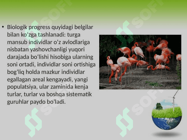 Organik olam filogenezining umumiy tavsifi 4