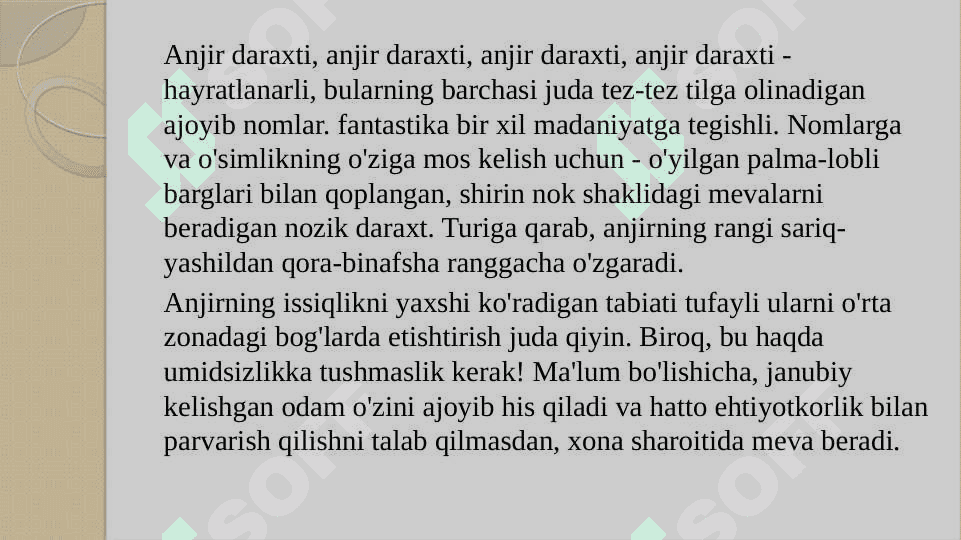 Anjir ko'chatini yetishtirish texnologiyasI 2