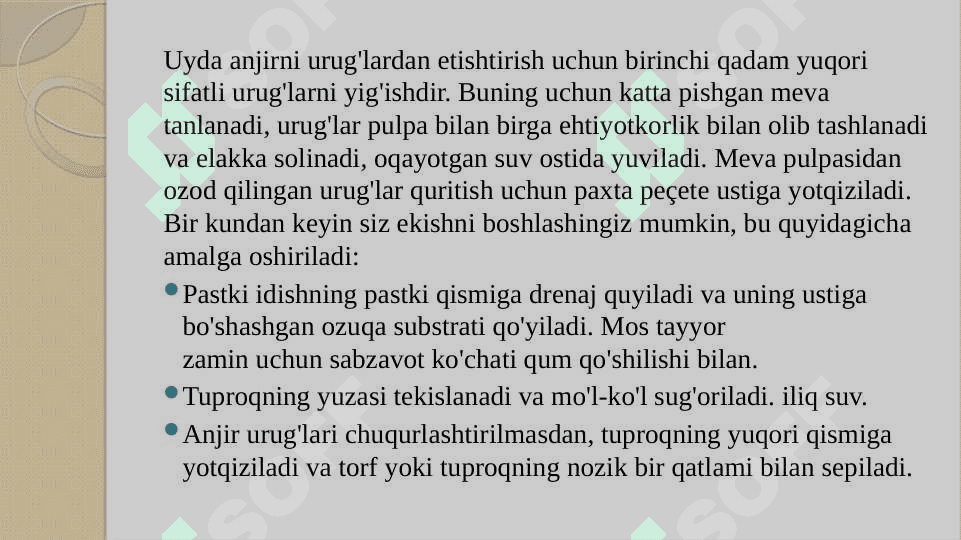 Anjir ko'chatini yetishtirish texnologiyasI 3