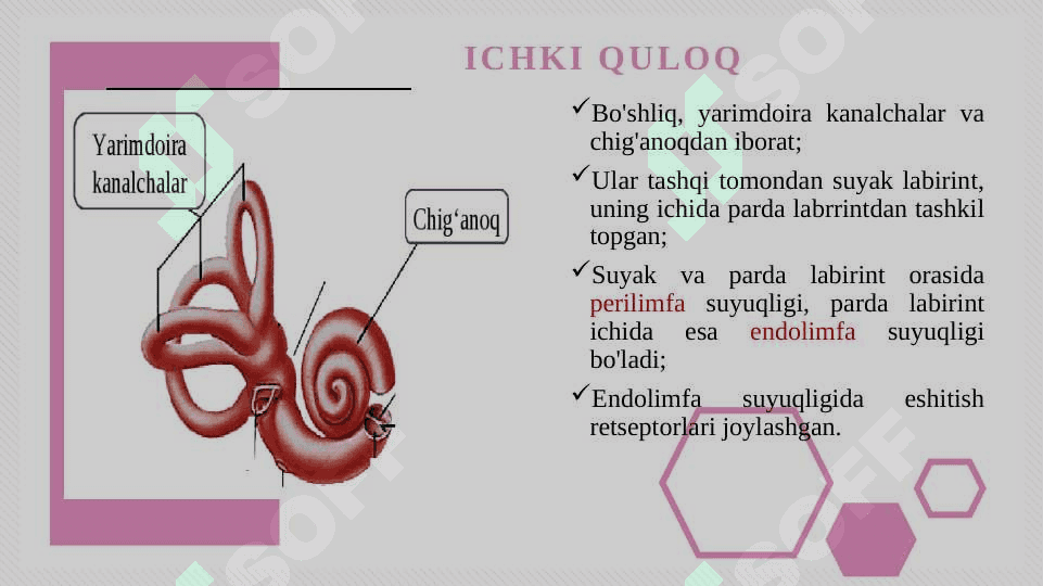 Eshitish organlarining tuzilishi, eshitish gigiyenasi 7