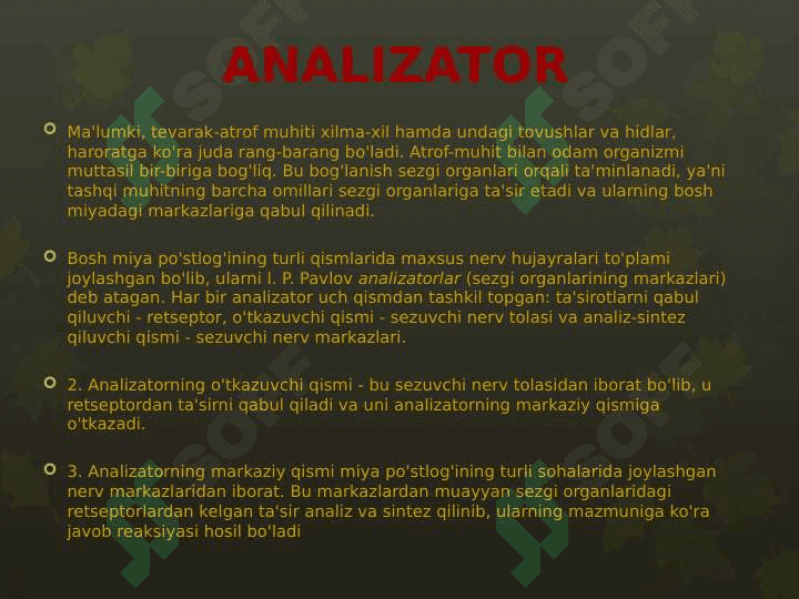 Sezgi organlarining ahamiyati va ko’rish analizatori 2