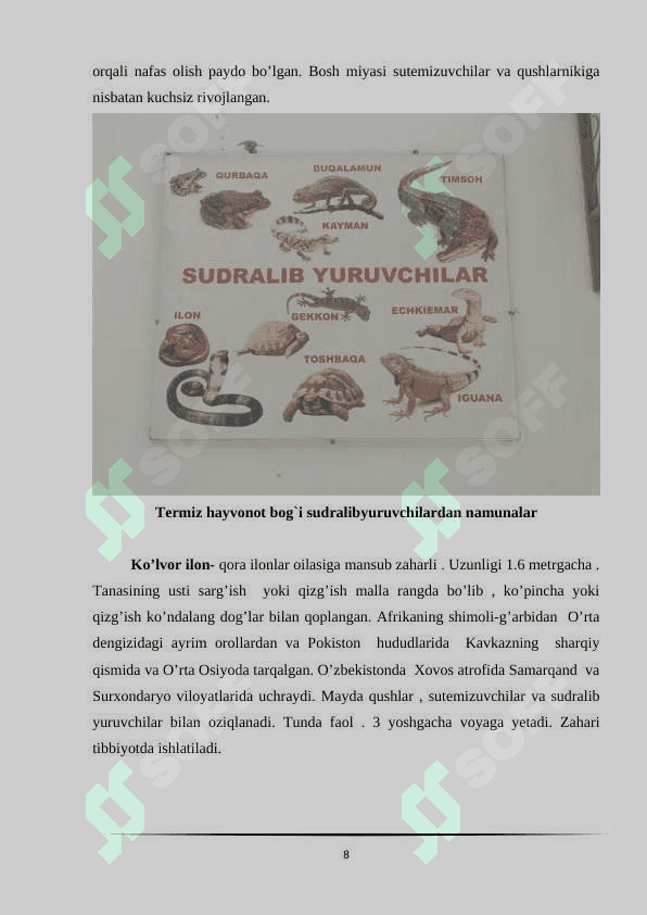 O’zbekistondagi hayvonot bog’larida hayvonlarni iqlimlashtirishga qaratilgan  chora-tadbirlar 8