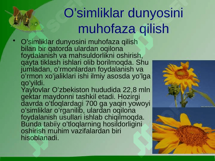 O'simlik dunyosini himoya qilish 4