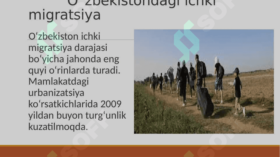 Migratsiya 5