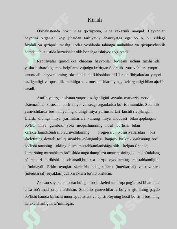O'zbekistonda tarqalgan zaharli ilonlar 5