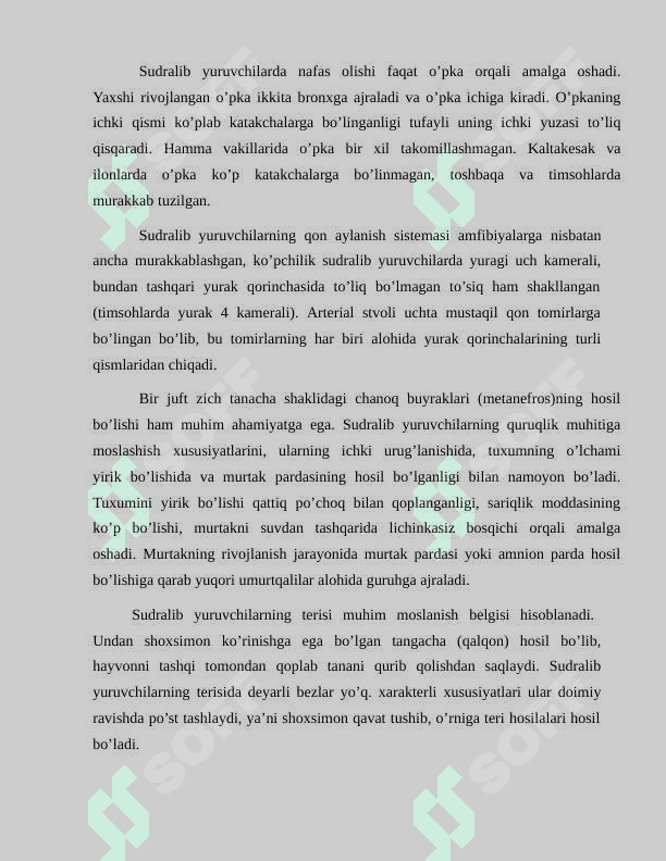 O'zbekistonda tarqalgan zaharli ilonlar 6