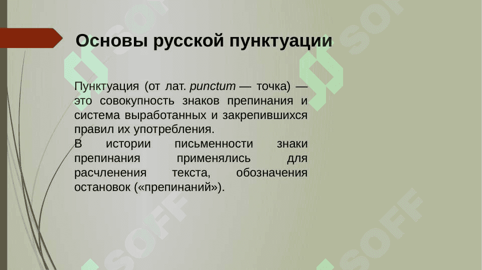 Пунктуация. Основы русской пунктуации. 8