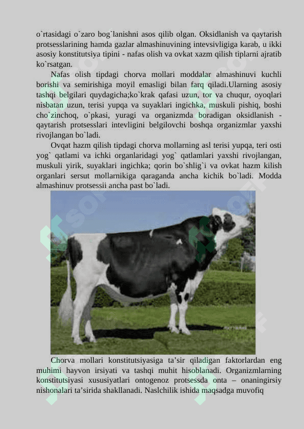 Chorva mollari konstitutsiyasining xususiyatlari. Konstitutsiyasini baholash usullari 8
