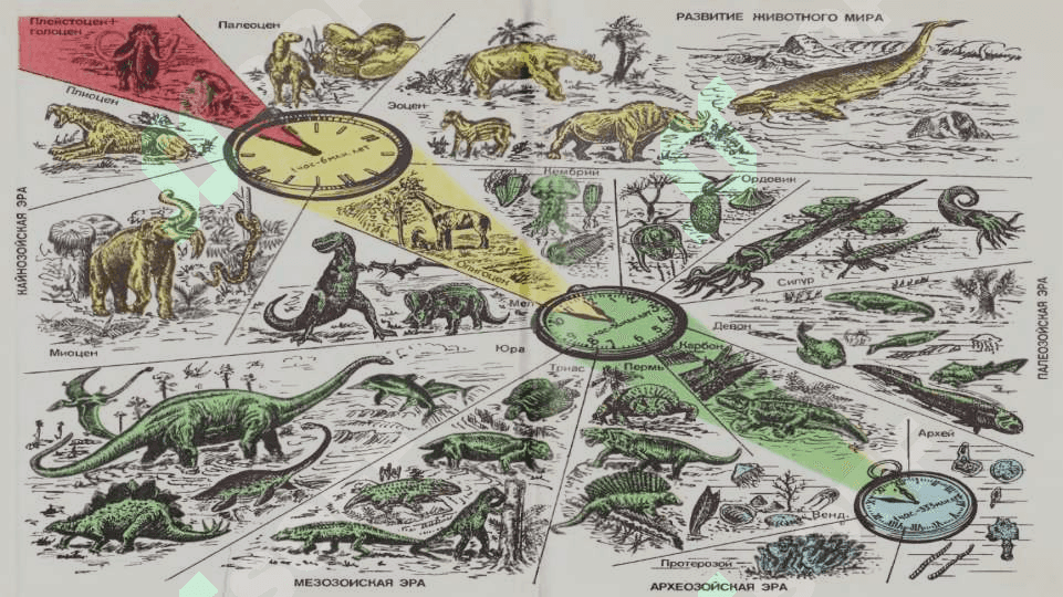 O‘ZBEKISTONNING GEOLOGIK TUZILISHI VA YER YUZASININGTARAQQIYOTI 3
