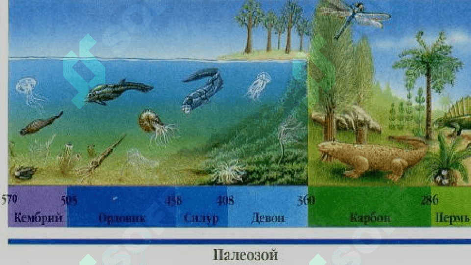 O‘ZBEKISTONNING GEOLOGIK TUZILISHI VA YER YUZASININGTARAQQIYOTI 5