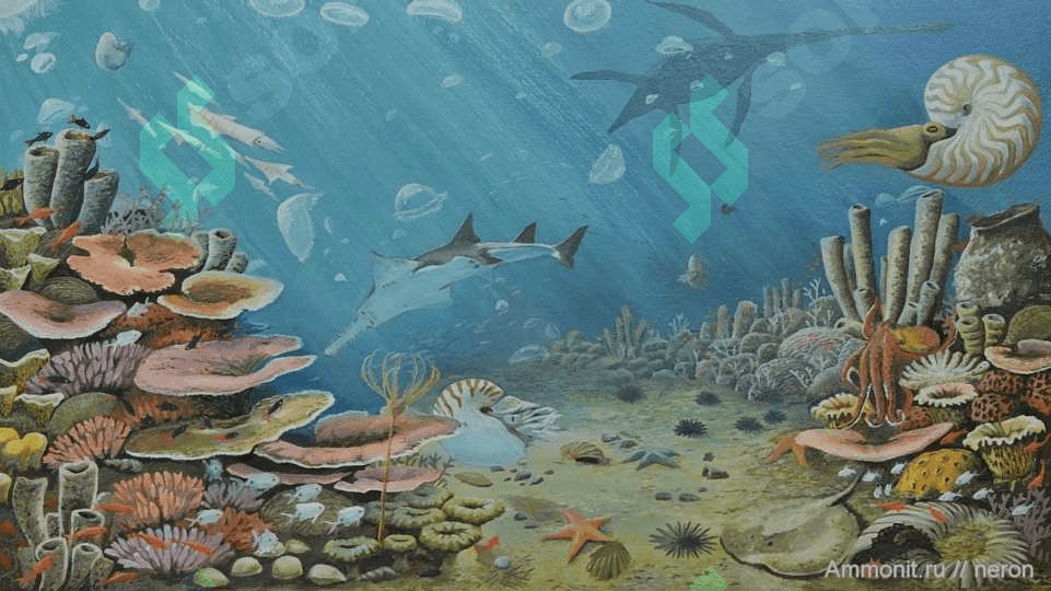 O‘ZBEKISTONNING GEOLOGIK TUZILISHI VA YER YUZASININGTARAQQIYOTI 7