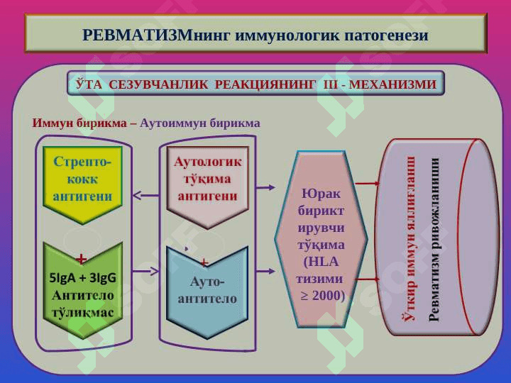 Ревматизм 4