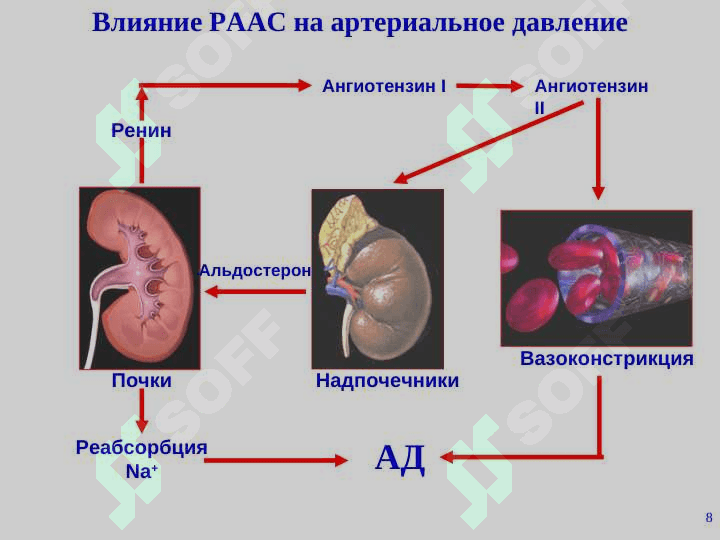 Гипертоническая болезнь 8