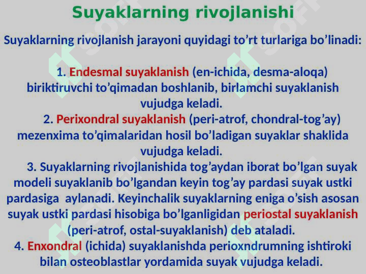 Skelet to‘g‘risida ta’limot 5