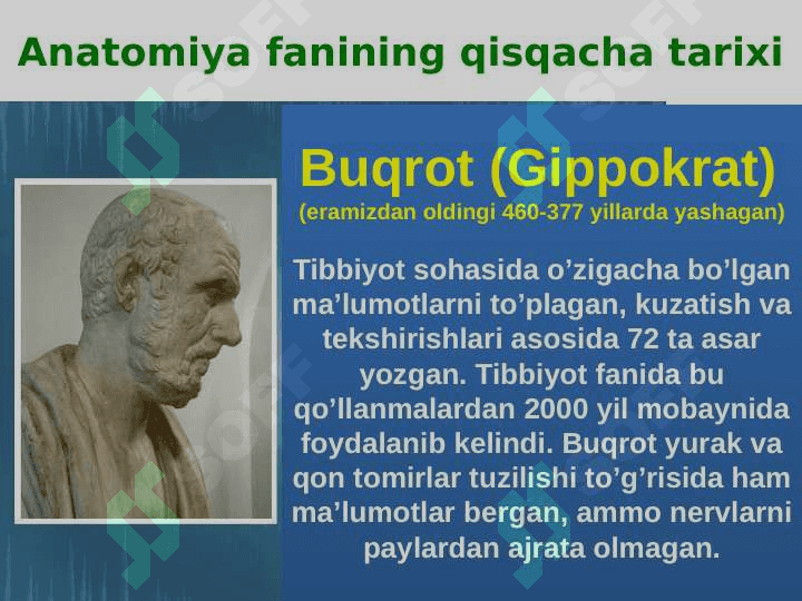 Odam anatomiyasi fanining predmeti 8