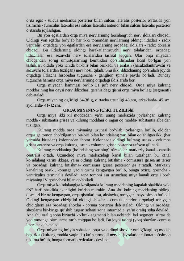 NERV SISTEMASI HAQIDA TA’LIMOT- NEVROLOGIYA 3