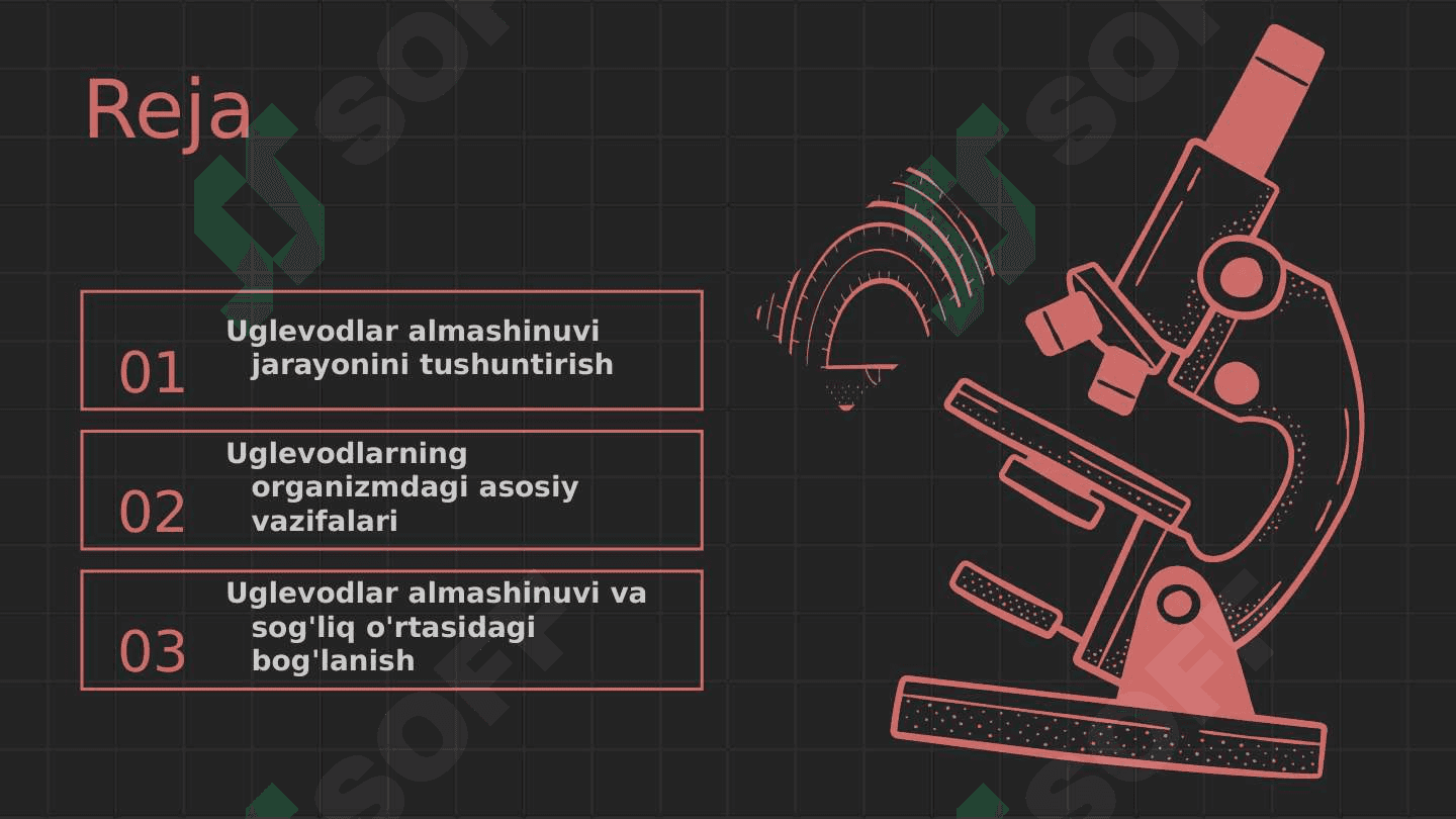 Uglevodlar almashinuvi va Ularning vazifalari 2