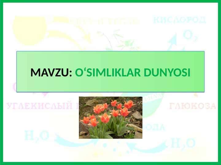 O‘SIMLIKLAR DUNYOSI Tabiiy fan