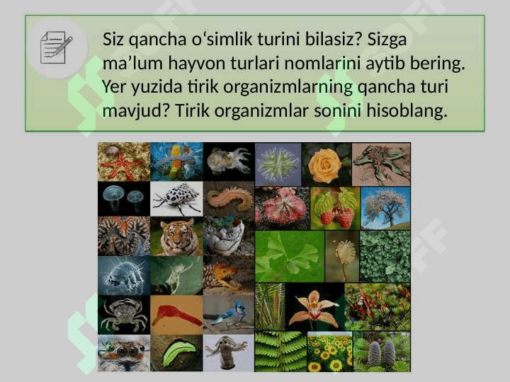TIRIK ORGANIZMLAR KLASSIFIKATSIYASI TABIIY FAN 3