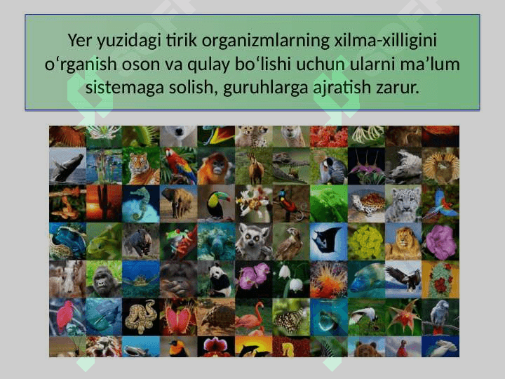 TIRIK ORGANIZMLAR KLASSIFIKATSIYASI TABIIY FAN 6
