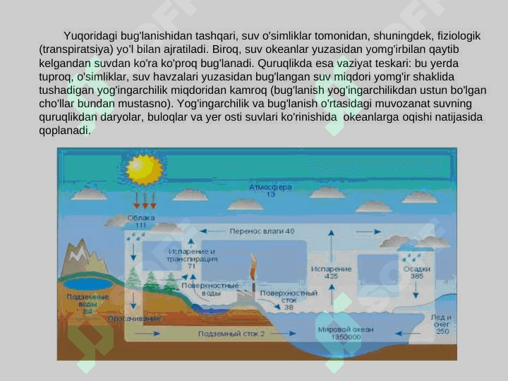O‘SIMLIKLARDA SUV ALMASHINUVI FIZIOLOGIYASI 4