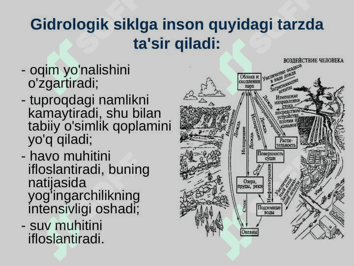 O‘SIMLIKLARDA SUV ALMASHINUVI FIZIOLOGIYASI 6