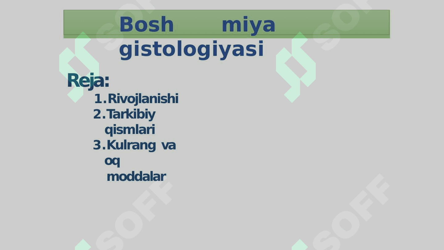 Bosh miya va miyacha gistalogiyasi 2